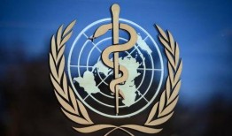 黄州新闻爆料最新消息疫情