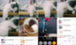 广州雨神爆料视频大全最新,揭秘城市雨季奇观