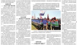 潍坊爆料最新消息新闻,突发事件引发社会关注